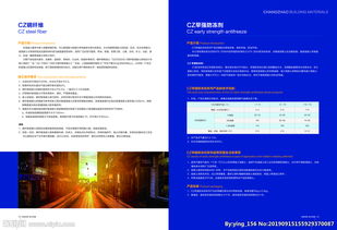 高端企業畫冊 精品 集團 公司圖片