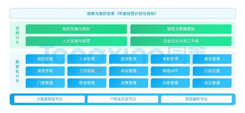 2024熱門中大型企業(yè)hr系統(tǒng) 國內(nèi)ehr廠商推薦